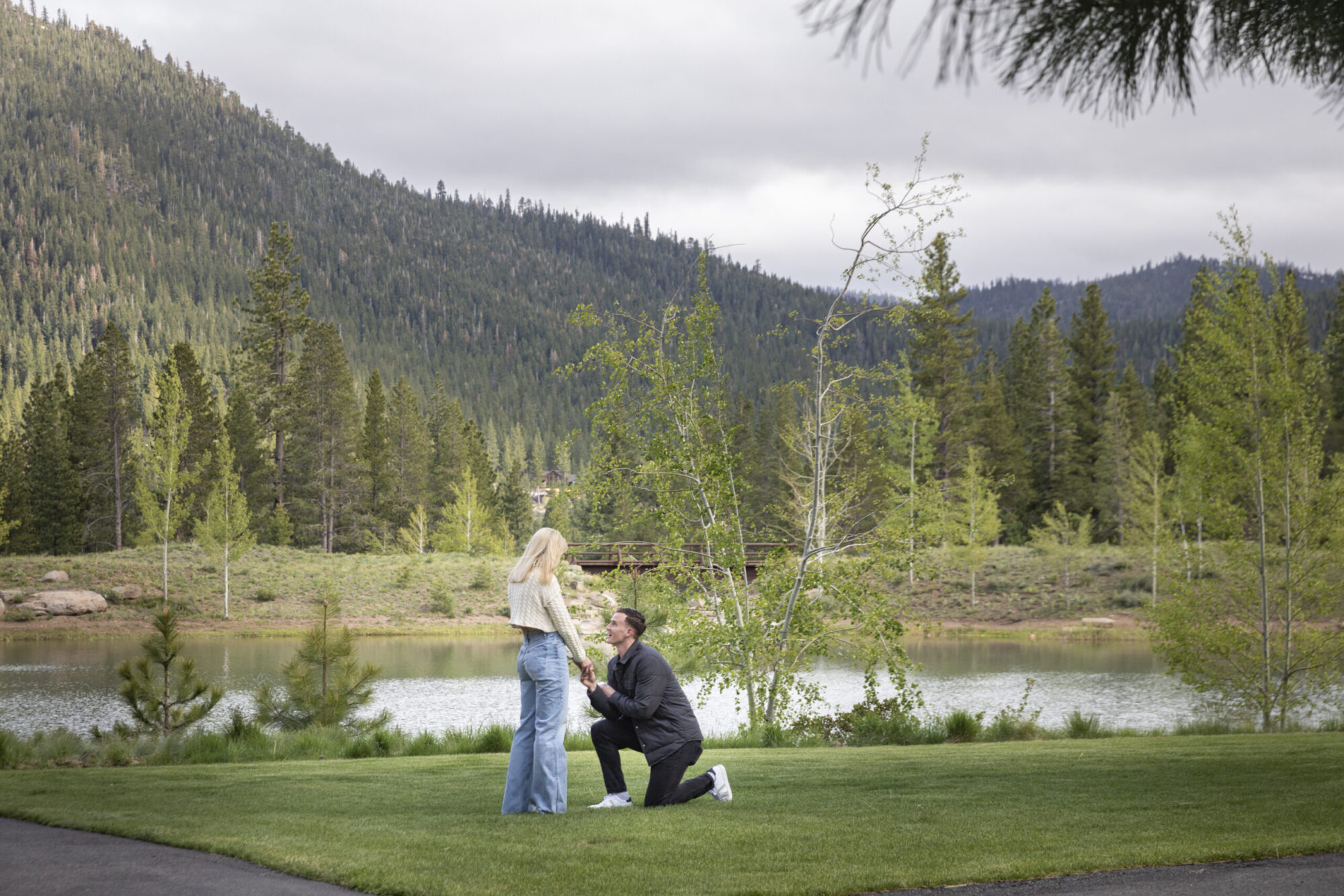 Elegance Package (Starting at $10,000) - Image 2